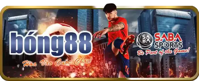 Đá Gà Trực Tuyến Helo88